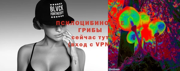 ешки Медногорск