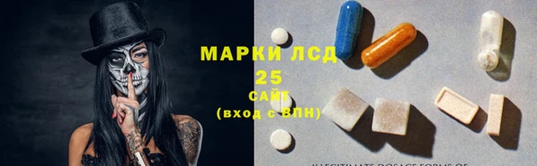 ГАЛЛЮЦИНОГЕННЫЕ ГРИБЫ Магадан