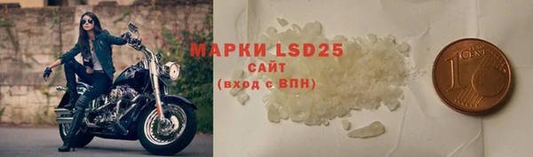 ГАЛЛЮЦИНОГЕННЫЕ ГРИБЫ Магадан