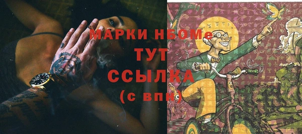 стаф Медвежьегорск