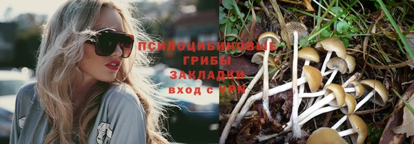 ешки Медногорск