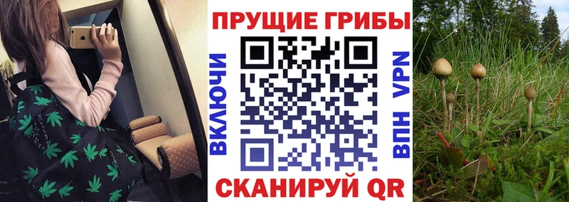 Псилоцибиновые грибы Magic Shrooms Стрежевой