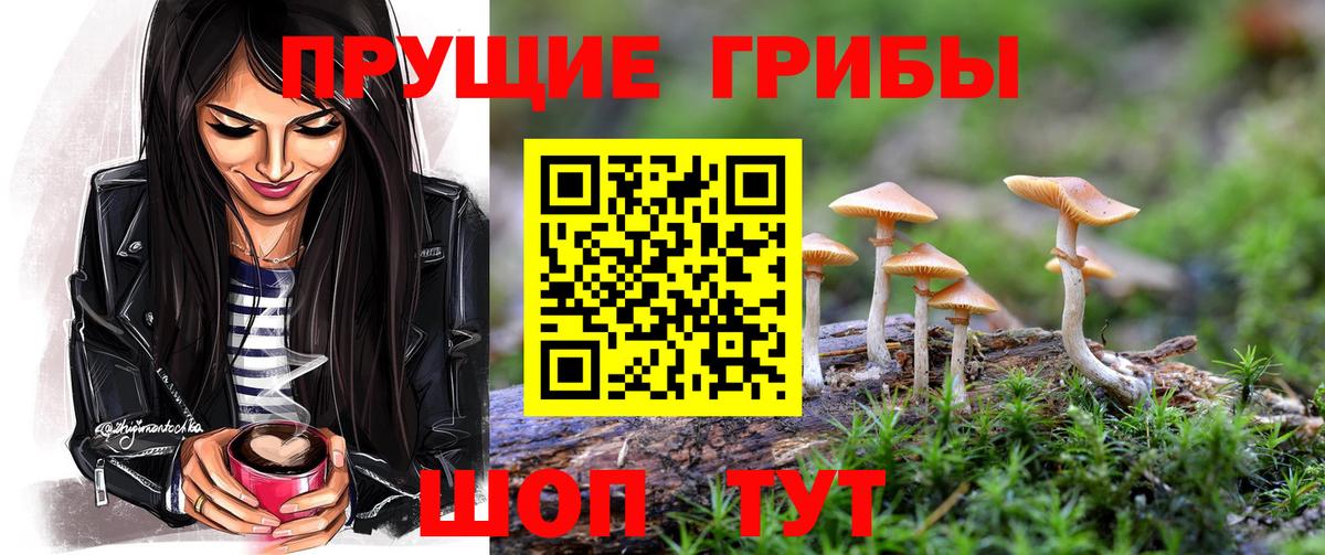 Псилоцибиновые грибы мухоморы  Вход с VPN  Стрежевой  Галлюциногенные грибы Psilocybine cubensis 