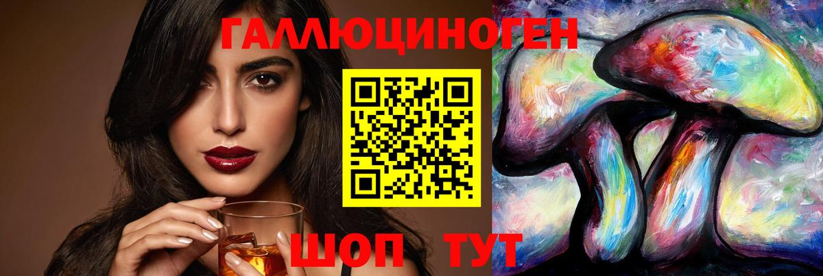 Псилоцибиновые грибы Psilocybe Стрежевой